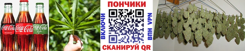 Canna-Cookies конопля  Купить  Торопец 