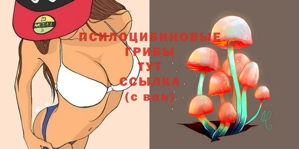 ПСИЛОЦИБИНОВЫЕ ГРИБЫ Куйбышев