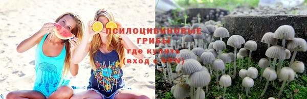 ПСИЛОЦИБИНОВЫЕ ГРИБЫ Куйбышев
