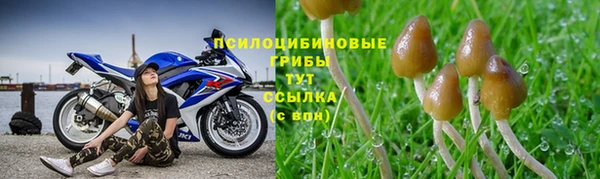 МДПВ Кулебаки