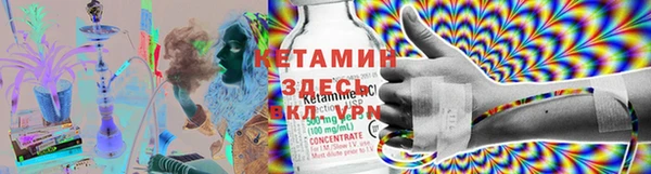 ПСИЛОЦИБИНОВЫЕ ГРИБЫ Куйбышев